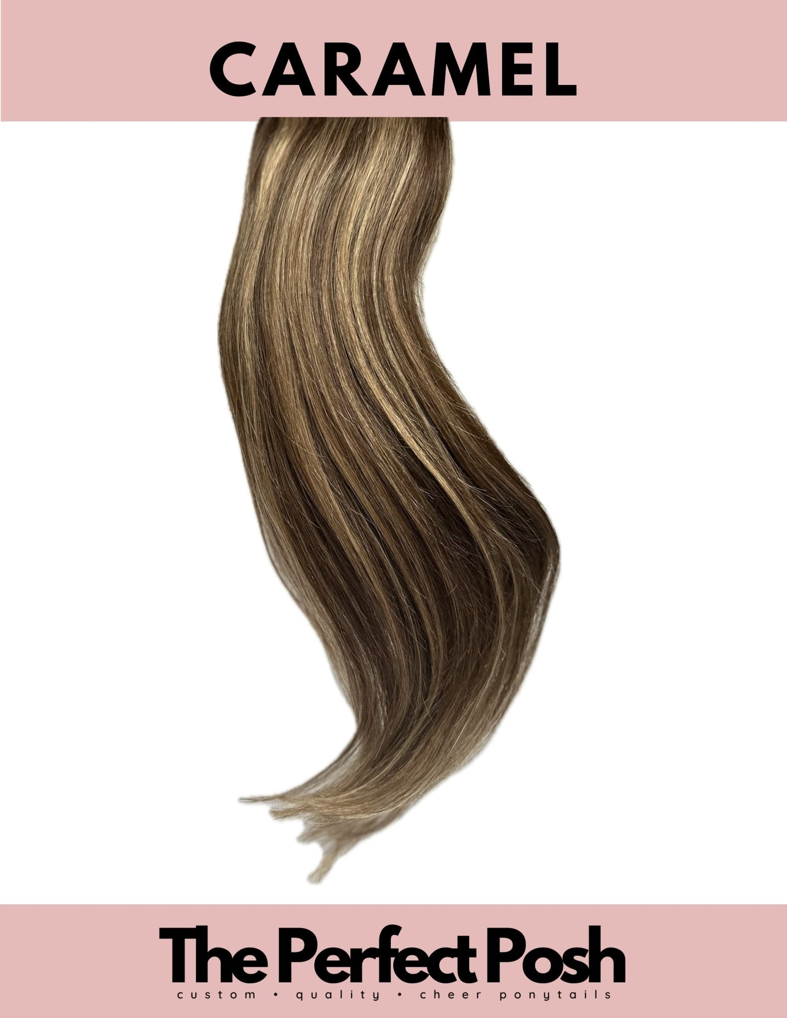 The MINI Half Up Posh - The Perfect Posh